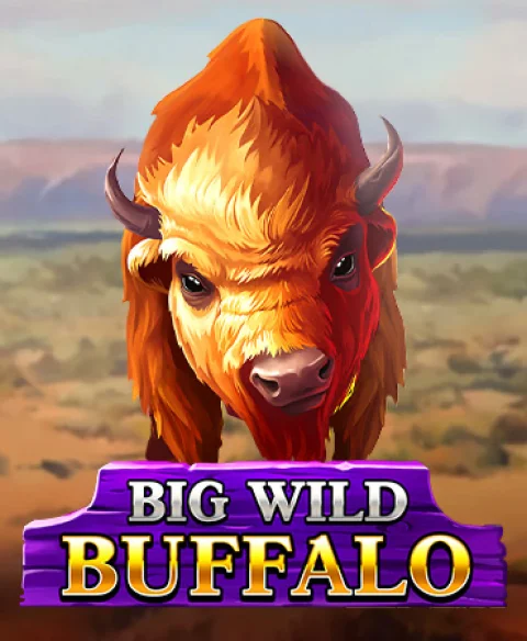 Play Big Wild Buffalo at Golden Hearts Casino